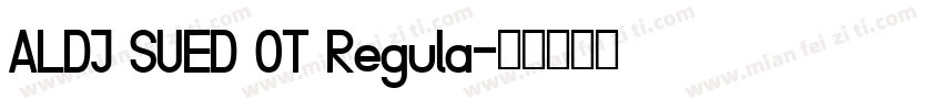 ALDI SUED OT Regula字体转换
